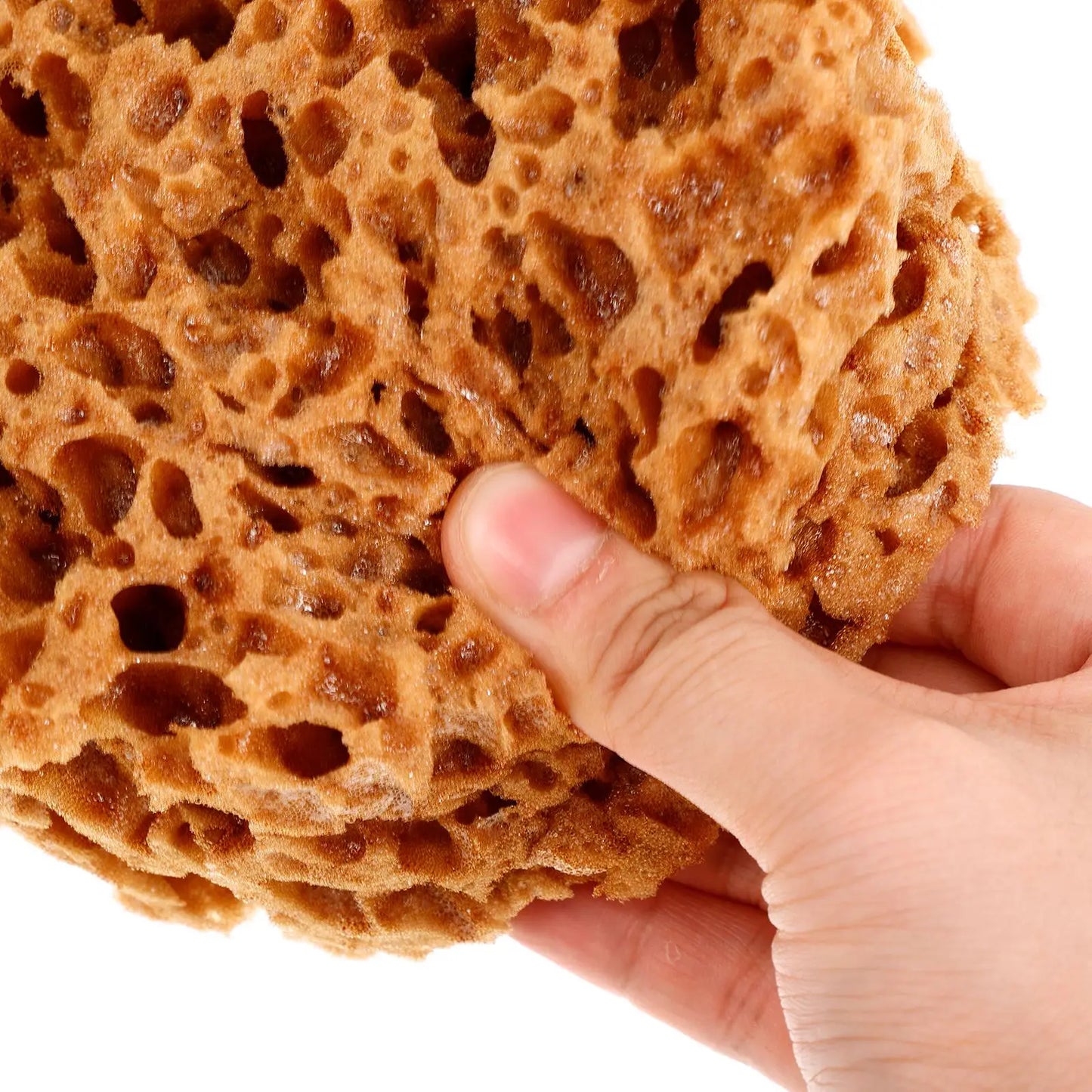 Natural Seaweed Coating Sponges Paint Pen Pottery Face Paint Sponges Painting Child Printing Tool Reusable Kids Painting Sponge