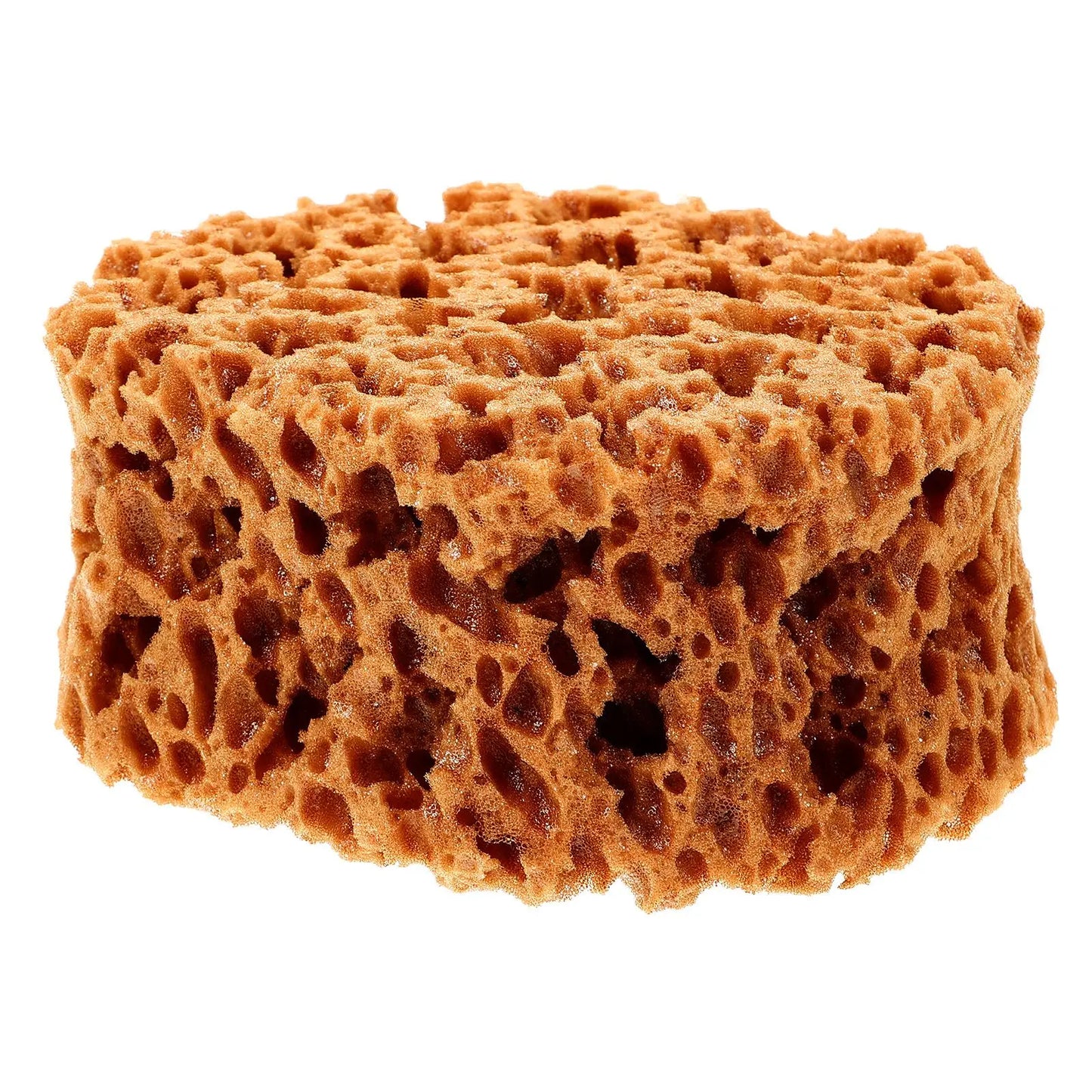 Natural Seaweed Coating Sponges Paint Pen Pottery Face Paint Sponges Painting Child Printing Tool Reusable Kids Painting Sponge